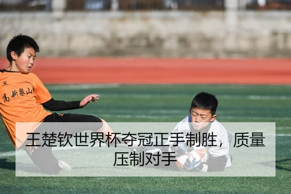 wang-chu-qin-shi-jie-bei-duo-guan-zheng-shou-zhi-sheng-zhi-liang-ya-zhi-dui-shou-3-796.jpg